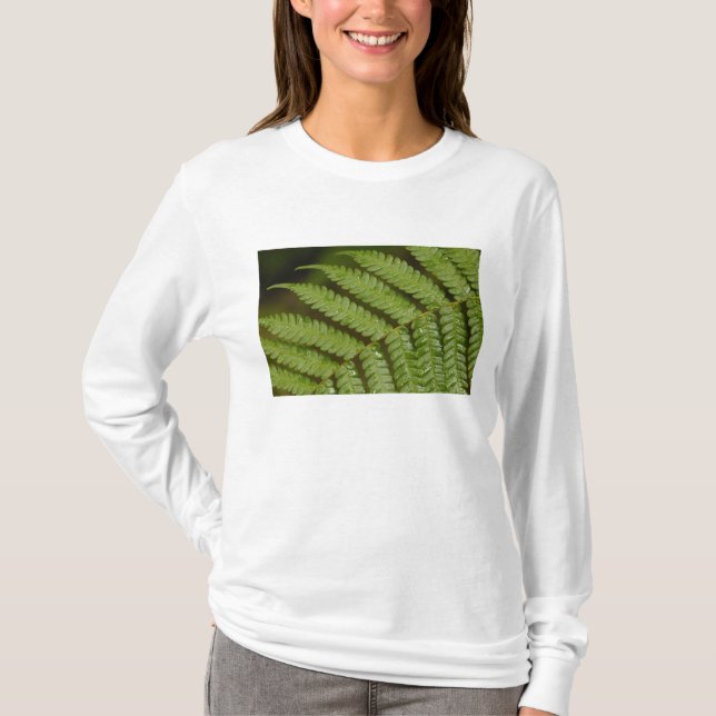 Camiseta Un detalle de un helecho, del Bosque Nuboso de Min (Anverso)