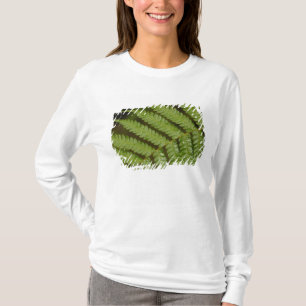 Camiseta Un detalle de un helecho, del Bosque Nuboso de Min