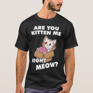 Camiseta Un Gato Agradable Gato Gatito A La Derecha Meow RP