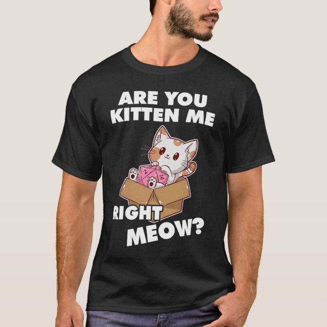 Camiseta Un Gato Agradable Gato Gatito A La Derecha Meow RP (Anverso)
