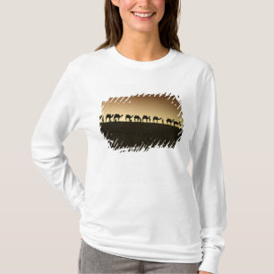 Camiseta Un grupo de pastores de camellos con sus camellos