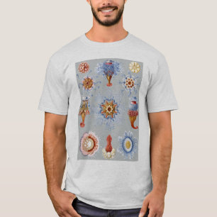 Camiseta Un Hydrozoan - Siphonophores