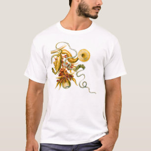 Camiseta Un Hydrozoan - uvaria de Salacella