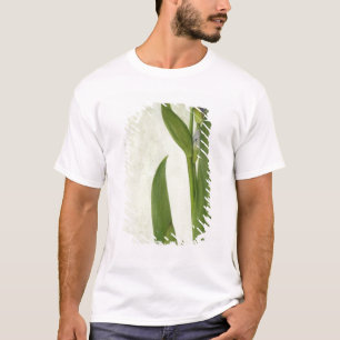 Camiseta Un iris