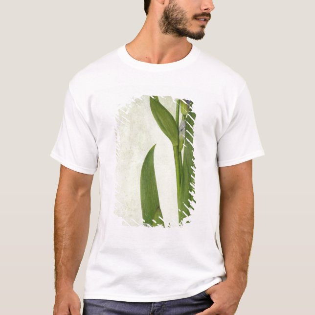 Camiseta Un iris (Anverso)