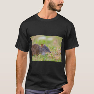 Camiseta Un lindo bandicut Crash buscando comida
