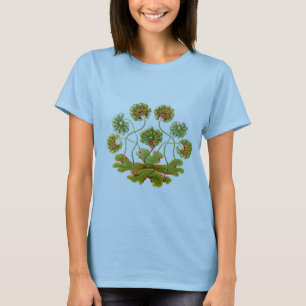 Camiseta Un Liverwort