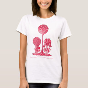 Camiseta Un molde de limo