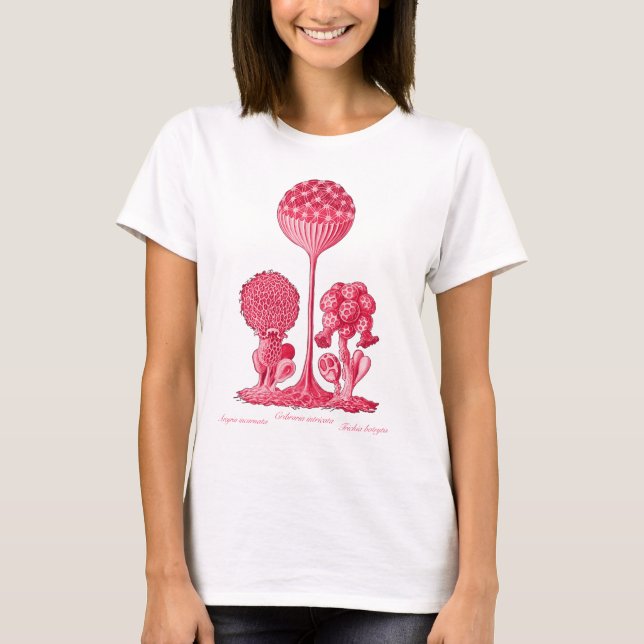 Camiseta Un molde de limo (Anverso)