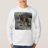 Un momento tranquilo: el canguro australiano en Bi