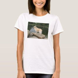 Camiseta Un perro en un estanque