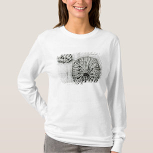 Camiseta Un plan de rey Jorte Island u Otheite, 1769