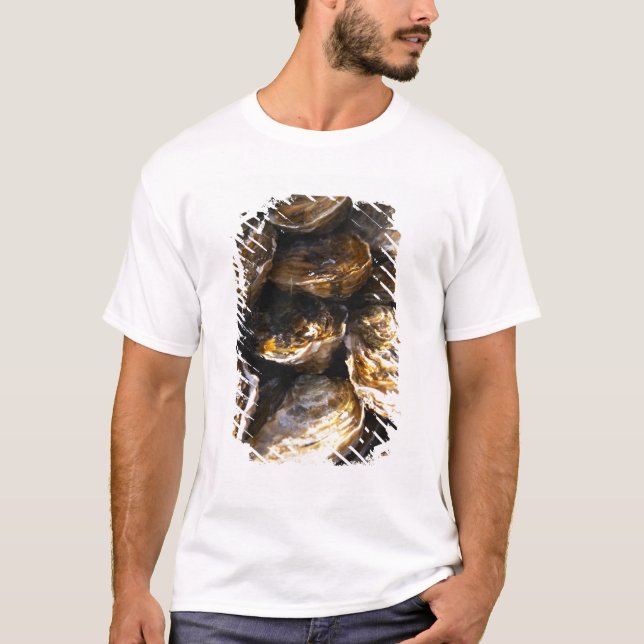 Camiseta Un plato de ostras. (Anverso)