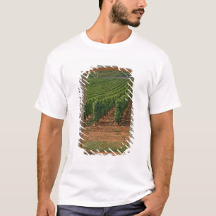 Camiseta Un pórtico de piedra al viñedo