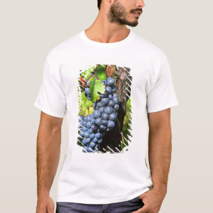 Camiseta Un racimo de uvas merlot maduras en una vid con