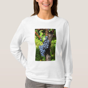 Camiseta Un racimo de uvas merlot maduras en una vid con