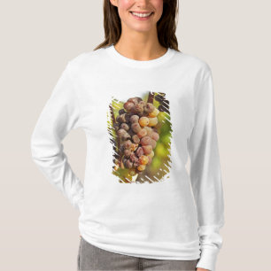 Camiseta Un racimo de uvas Semillon mohosas en Ch Raymond L
