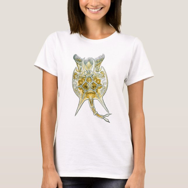 Camiseta Un rotífero (Anverso)