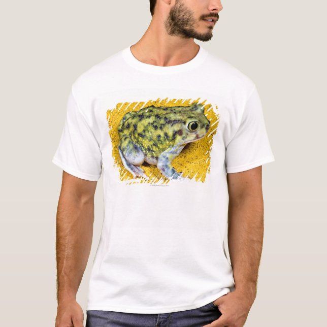 Camiseta Un sapo de spadefoot (Anverso)