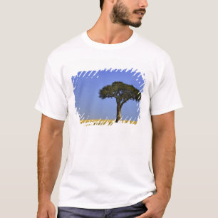 Camiseta Un solo árbol de acacia en llanuras herbáceas, Mas