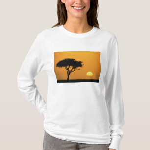 Camiseta Un solo árbol de acacia silueteado al amanecer, Ma