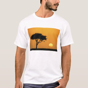 Camiseta Un solo árbol de acacia silueteado al amanecer, Ma