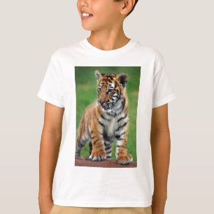 Camiseta Un tigre de bebé lindo