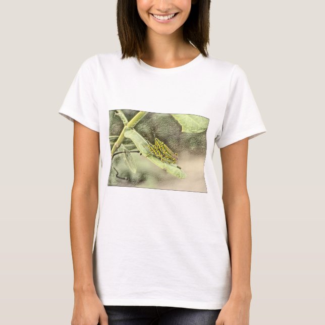 Camiseta  Una aguja en el pajar (Anverso)