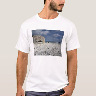 Camiseta Una arcón que desmenuza