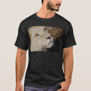 Camiseta Una cara apacible Suráfrica del león