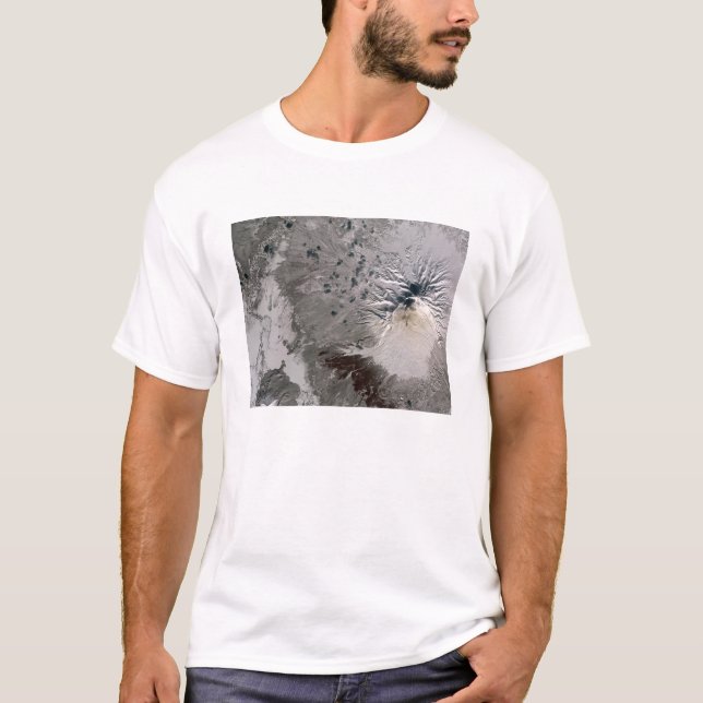 Camiseta Una ceniza rica en penacho (Anverso)