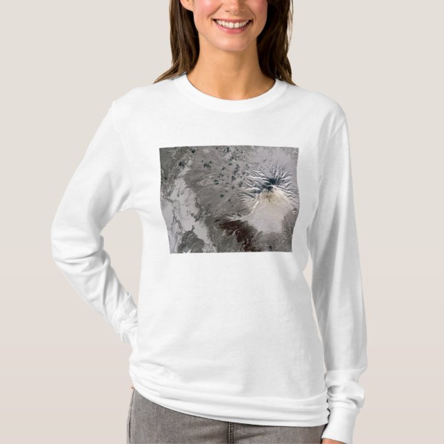 Camiseta Una ceniza rica en penacho (Anverso)