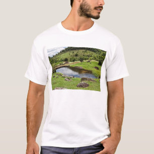 Camiseta Una charca con el pequeño banco de madera