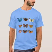 Una colección de nueve mariposas