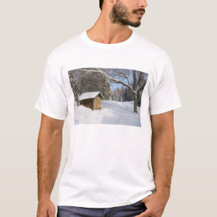 Camiseta Una escena nevada en el pequeño estanque de Little