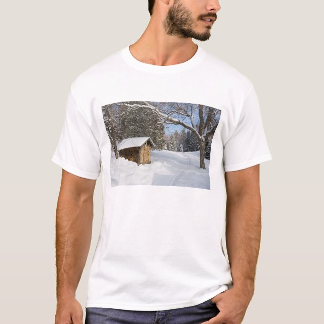 Camiseta Una escena nevosa en la poca charca de Lyford de (Anverso)