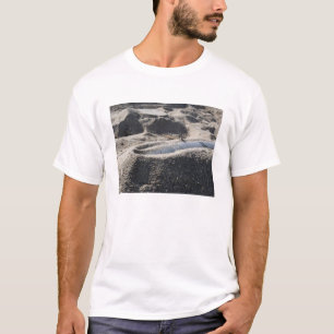 Camiseta Una exhibición estática de una cáscara de la