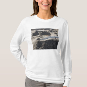 Camiseta Una exhibición estática de una cáscara de la