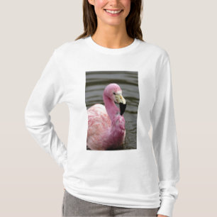 Camiseta Una foto cautiva de un flamenco andino