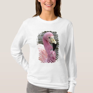 Camiseta Una foto cautiva de un flamenco andino