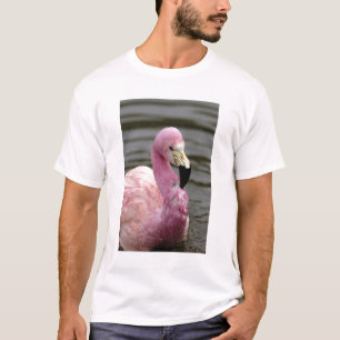 Camiseta Una foto cautiva de un flamenco andino