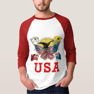 Camiseta Una historia de banderas americanas en una