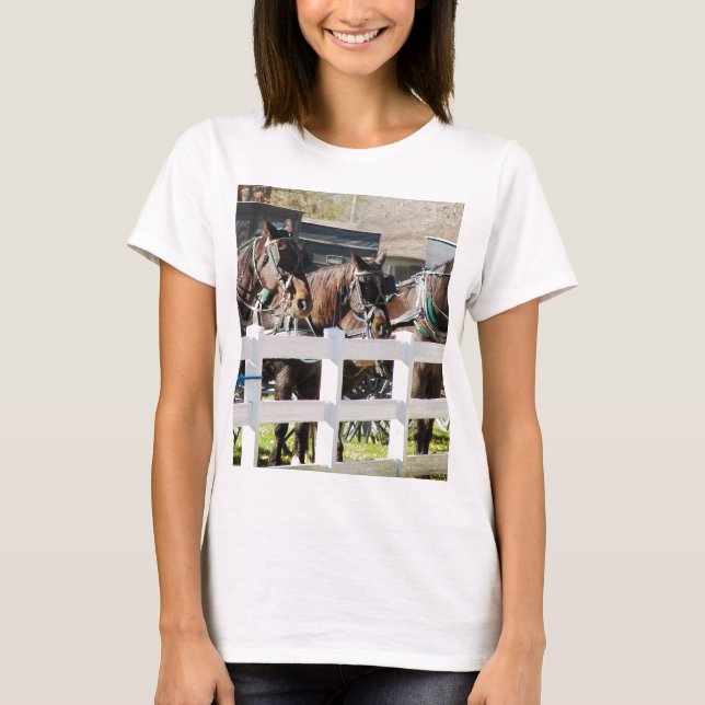 Camiseta Una línea de caballos Amish (Anverso)