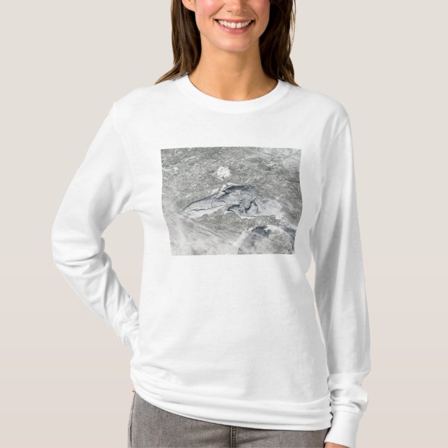 Camiseta Una manta de hielo relativamente rara (Anverso)
