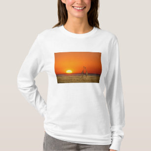 Camiseta Una pareja de jirafas camina hacia la puesta del s