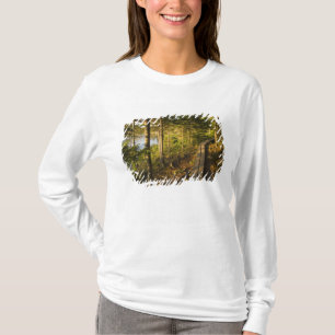 Camiseta Una pasarela de madera en el Parque Nacional Acadi