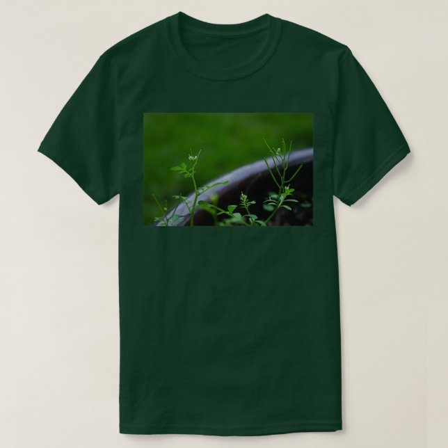 Camiseta Una planta muy linda (Diseño del anverso)