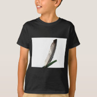 Una pluma