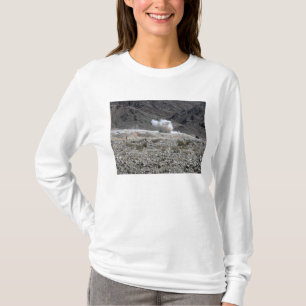 Camiseta Una ronda de un lanzamisiles pequeño AT-4