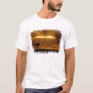 Camiseta Una salida del sol con la boca abierta en el Maasa